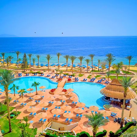 Pickalbatros Royal Grand Sharm - Adults Friendly 16 Years Plus Exterior photo The photo depicts a picturesque resort scene by the sea. In the foreground, there is a large, inviting swimming pool surrounded by lounge chairs and umbrellas. Palm trees are strategically placed around the pool area, adding to the tropical atmospher