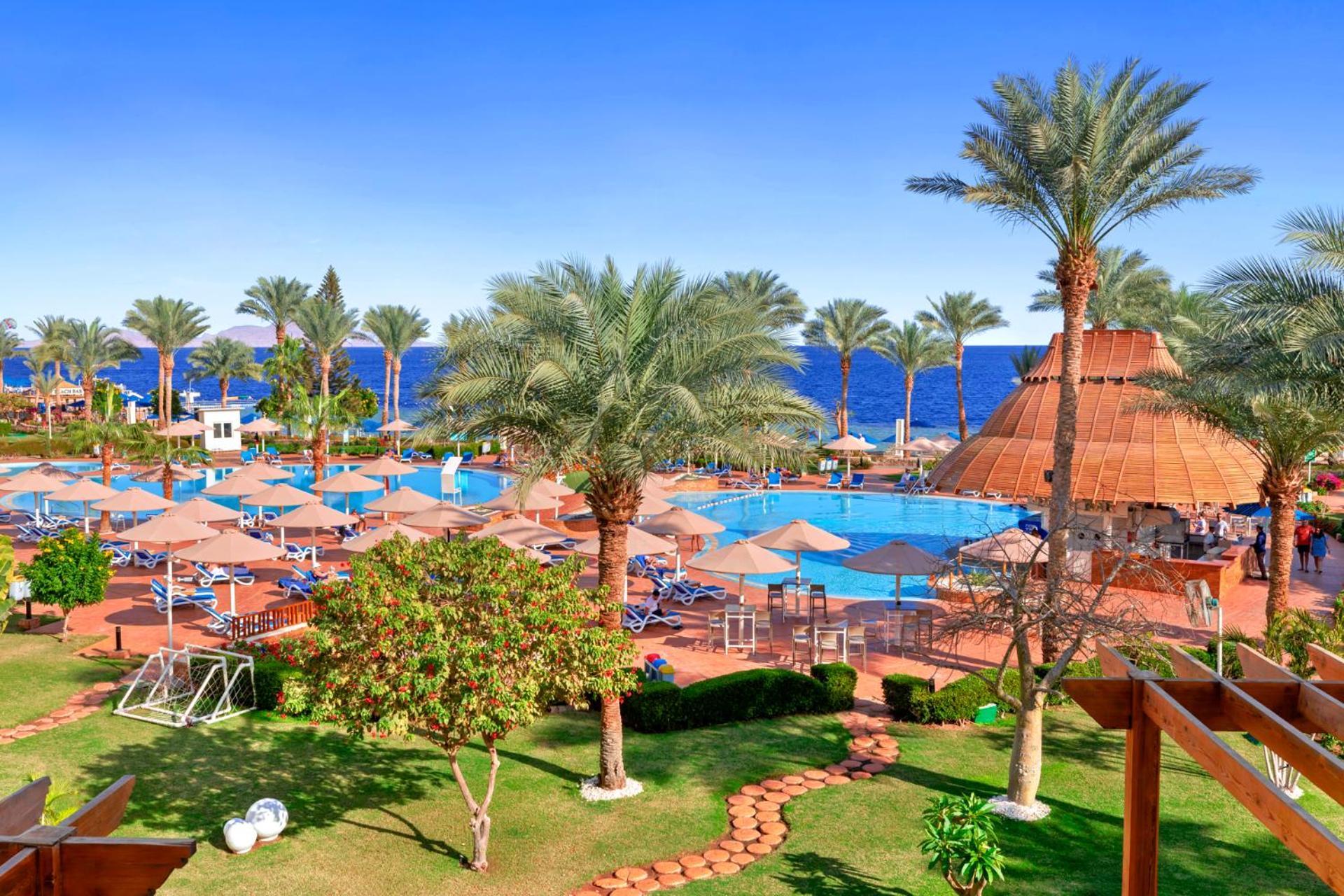 Pickalbatros Royal Grand Sharm - Adults Friendly 16 Years Plus Exterior photo The image shows a vibrant tropical resort scene. In the foreground, there are lush green palm trees and neatly organized grassy areas. A winding pathway made of bricks leads through the gardens. 

In the background, a large swimming pool is visible, 
